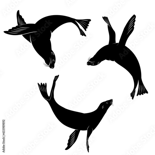 silhouettes of sea lion