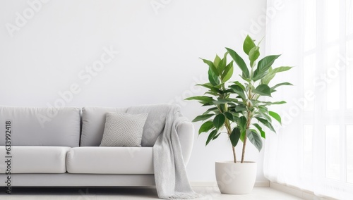 minimal style living room with grey couch sofa and green plant in a pot, wall for mockup © id512