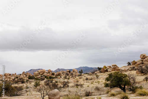 A beautiful landscape with a meadow with dry grass, bushes, large rocks and blue mountains in the background. Scenic American landscape on a cloudy autumn day