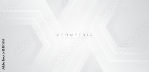 White and grey abstract background. Modern geometric hexagon shape overlay layer elements. Geometric pattern graphic design. Futuristic technology concept. Vector illustration