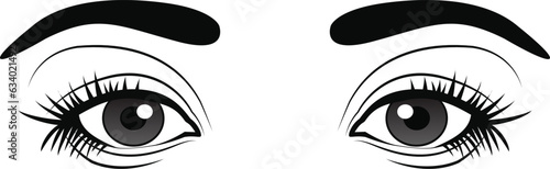 Free vector eyes expression line art front view