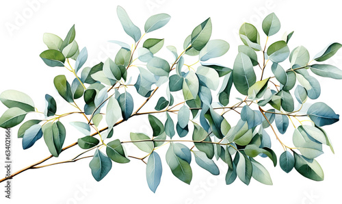 Green twigs and leaves on a white background.