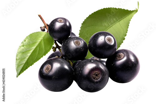 Jabuticaba fruit