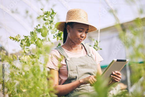 Gardening, research on tablet and black woman on farm checking internet website for information on plants. Nature, technology and farmer with digital app for sustainability, agriculture and analysis.