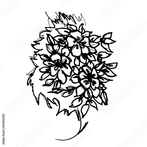 Bouquet of flowers isolated on white background