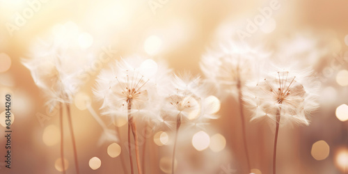 Abstract background featuring a dandelion seed in a soft  dreamlike atmosphere. Defocused elements and warm colors capture dandelion s magic in the wind.