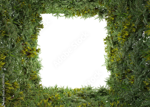 Frame decorated with tropical plants on transparent background