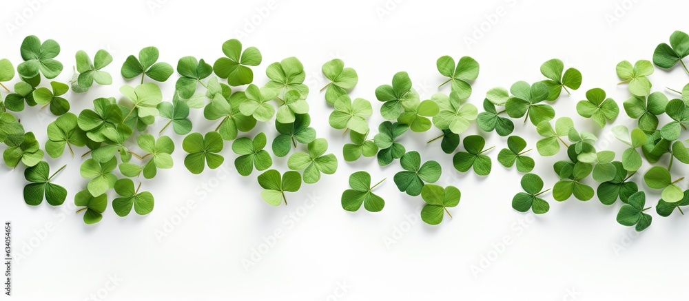 Clover leaves form a frame on a white background Clover leaves form a frame on a white background