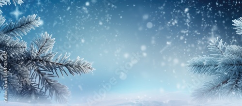 Snowflakes and fir tree branches on a wintry backdrop with space for design