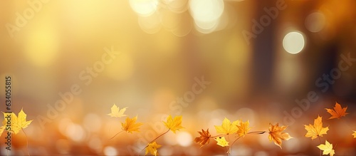 Golden autumn card with maple leaves in sunlight creating a beautiful nature background