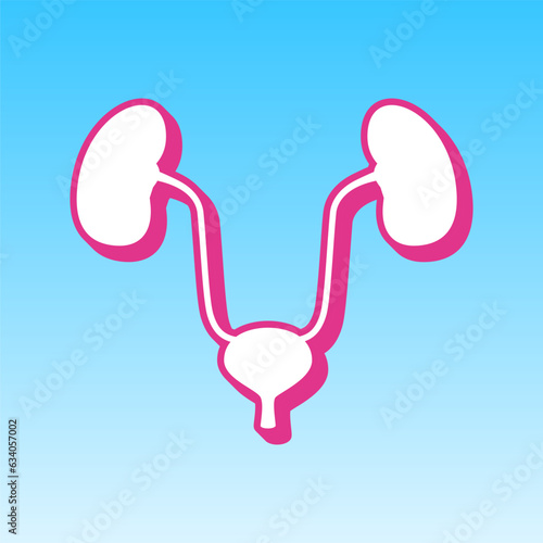 Urogenital system sign. Cerise pink with white Icon at picton blue background. Illustration.