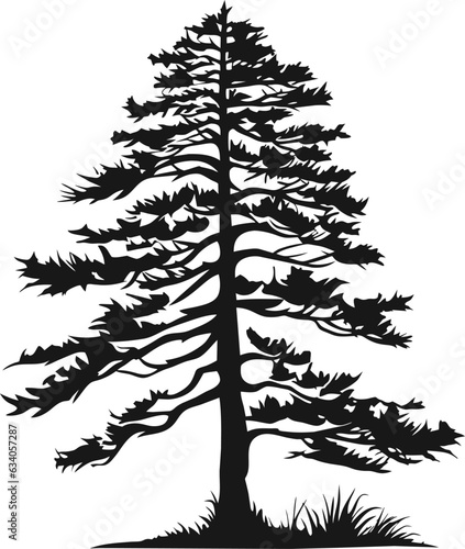 tree silhouette cedar vector, tattoo logo cypress template design, tree pine silhouette vector, tattoo tribal cedar design isolated on white background.