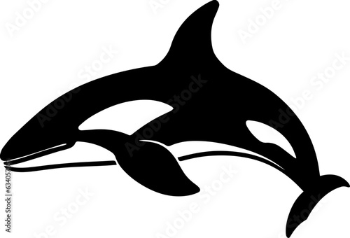 Killer Whale Icon