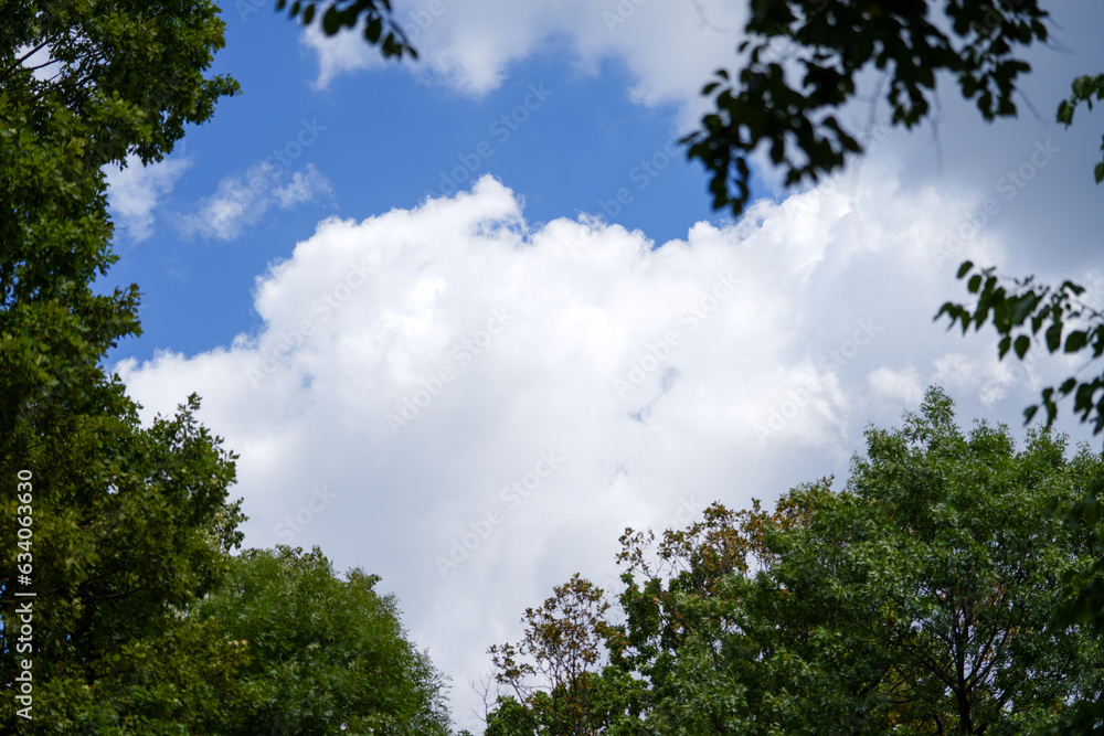 Fototapeta premium cloudy sky. white and fluffy clouds with a blue background.