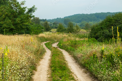 Country road through a meadow in the countryside with forest and deciduous trees on a summer day