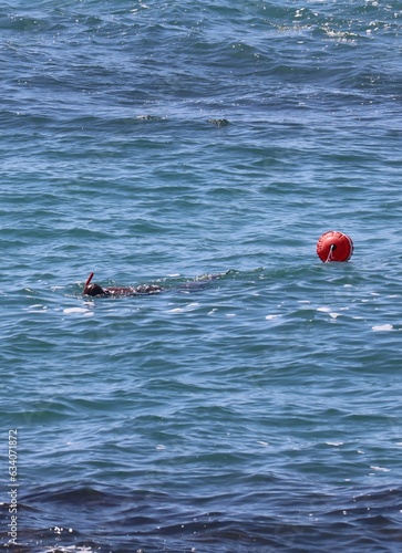 Obraz na płótnie swimmer in the ocean w salonie