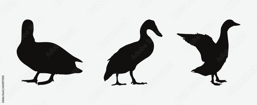Obraz premium Graceful Duck Silhouettes, A Collection of Elegance and Nature's Beauty in Vector Art