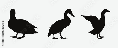 Graceful Duck Silhouettes  A Collection of Elegance and Nature s Beauty in Vector Art