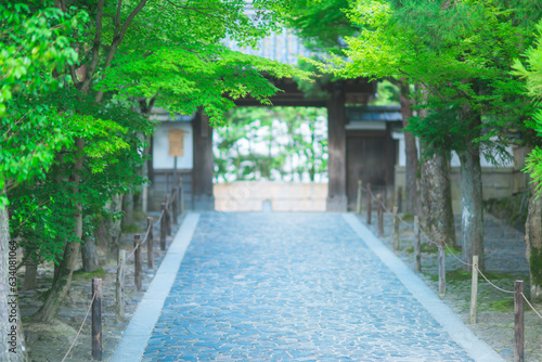 京都の銀閣寺の庭園の風景