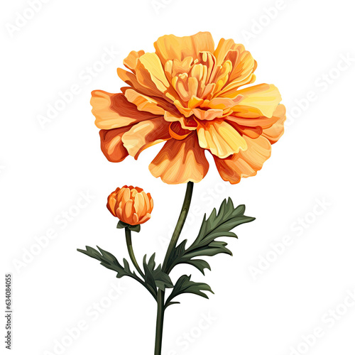 Marigold flower rests on dark digital artwork