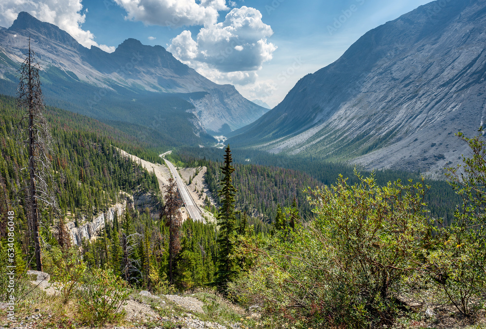 Overview of the North Saskatchewan River valley with the Icefields Parkway in Banff National Park, Alberta, Canada