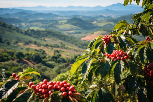 Fototapeta Blurred Coffee Plantation Overlooking Majestic Mountains for background