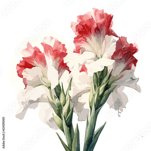 Gladiolus , WaterColor , Illustration, PNG