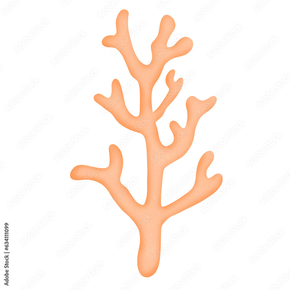 Coral live in the ocean Coral live in the ocean