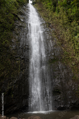 Manoa falls in Honolulu forest reserve