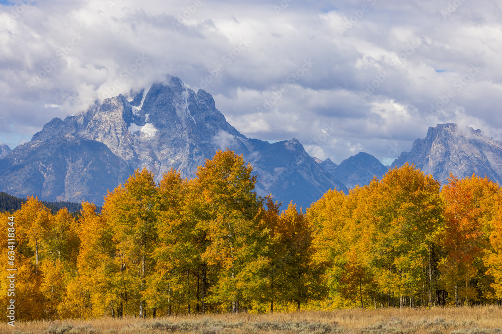 Beautiful Autumn Landscape in Grand Teton National Park Wyoming