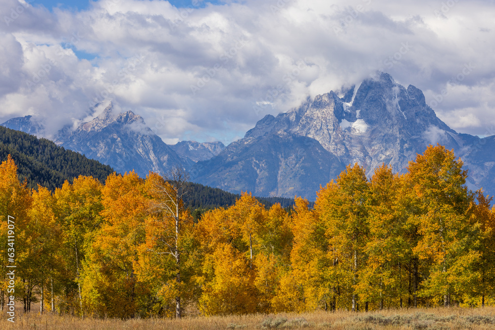 Beautiful Autumn Landscape in Grand Teton National Park Wyoming