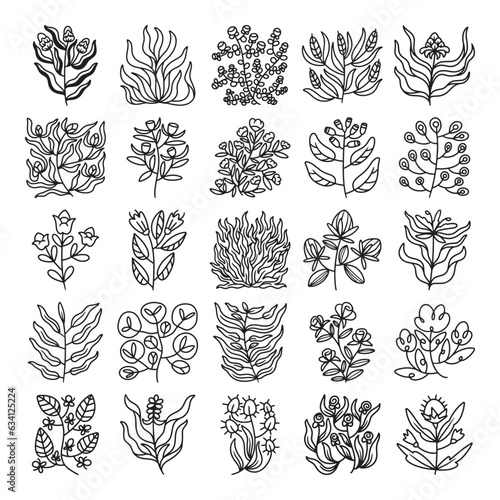 Set flower and leaves hand drawn vector