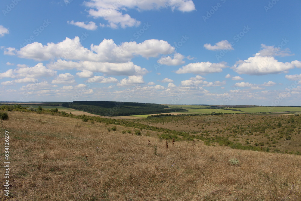 A landscape with a field and blue sky A landscape with a field and blue sky