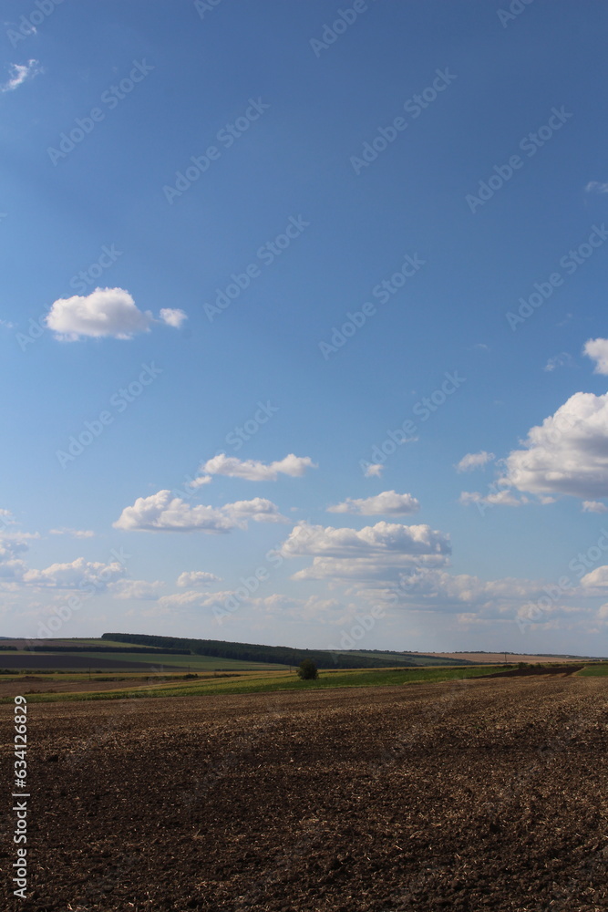 A field with a blue sky and clouds