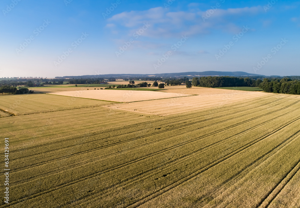 Luftbild - Unterschiedliche große Getreidefelder neben einander.