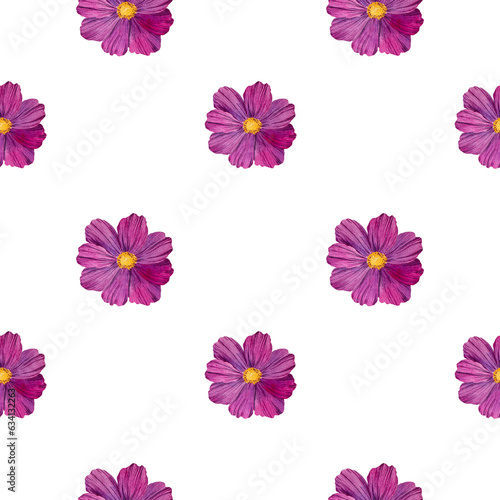 Fototapeta Naklejka Na Ścianę i Meble -  Floral seamless pattern with cosmos flowers. Pink watercolor illustration of buds on a white background. Botanical pattern for fabrics, textiles, wallpapers, scrapbooking.