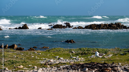 Garden Route Road Trip South Africa