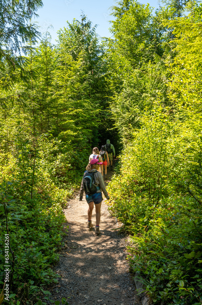 Hikers on Shi Shi Beach Trail in Olympic National Park near Neah Bay, Washington on sunny summer afternoon.