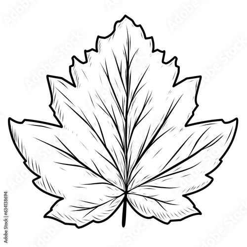 sketch leaf star