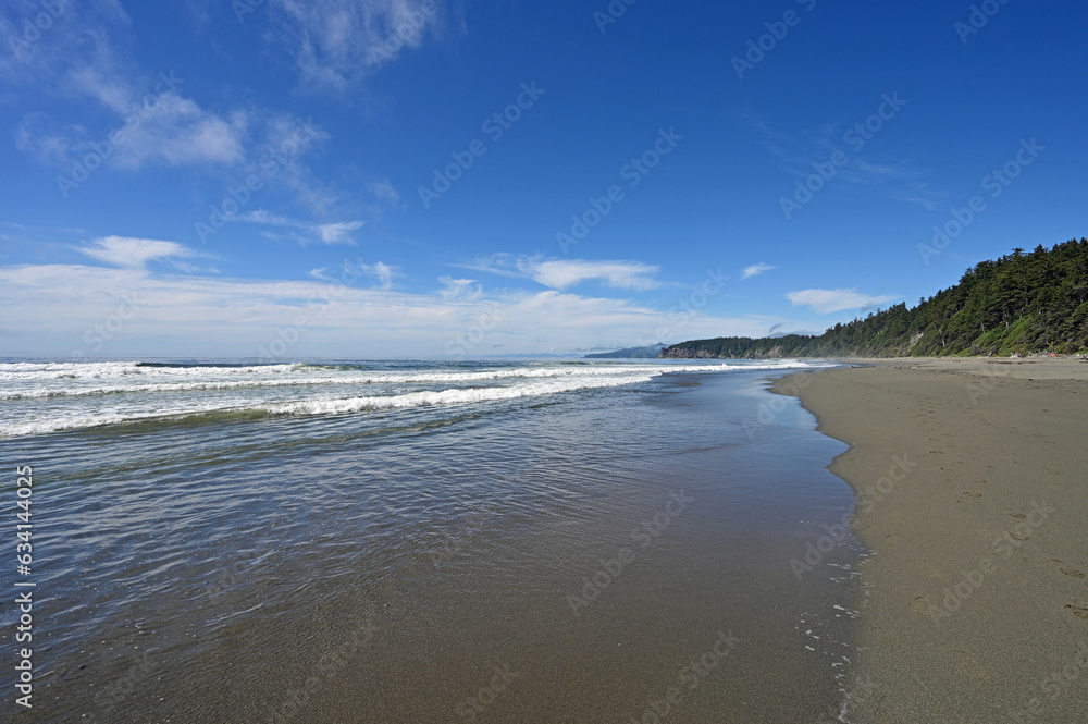 Shi Shi Beach and seashore in Olympic National Park, Washington on sunny summer afternoon.