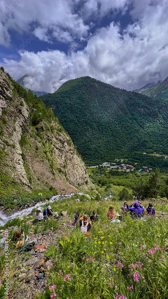 Fototapeta premium view of the glacier with a waterfall and a blooming meadow