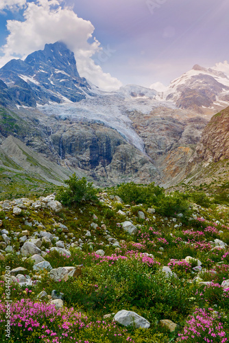 view of the glacier with a waterfall and a blooming meadow © Alexander Lupin