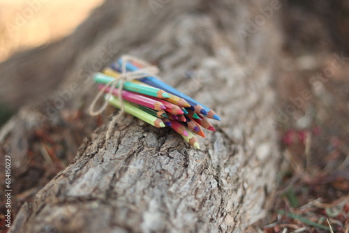 Lápices de colores encima de una rama de árbol