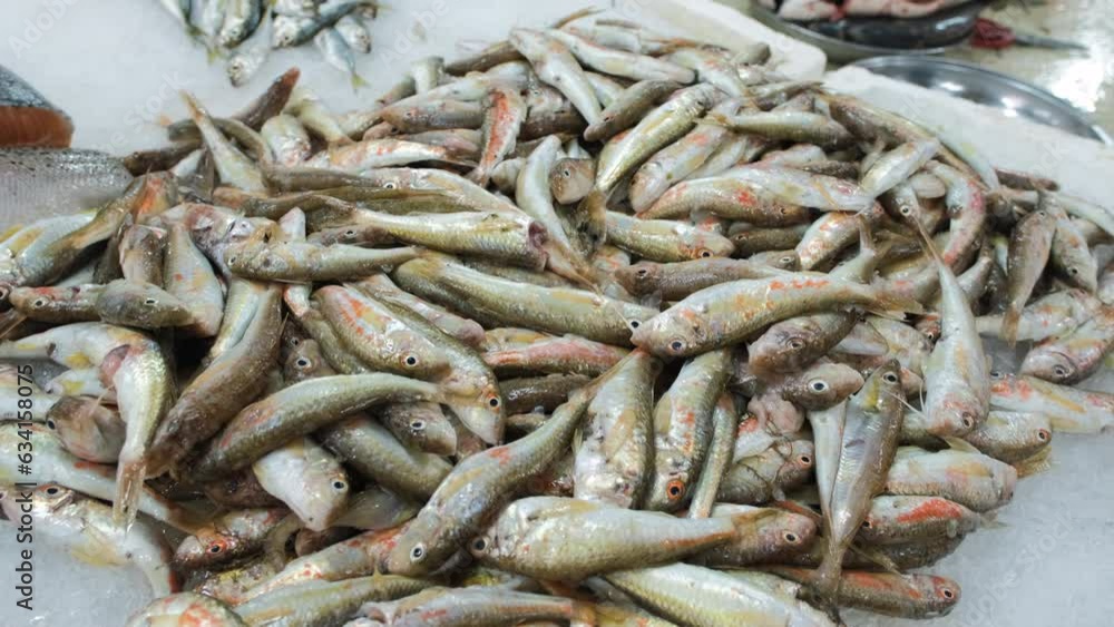 Close-up of freshly caught red mullet fishes laid out on ice at the seafood market, close-up Close-up of freshly caught red mullet fishes laid out on ice at the seafood market, close-up