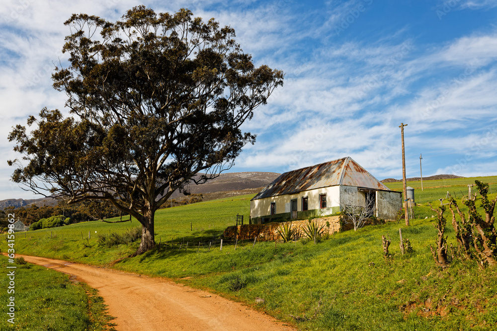 A beautiful landscape showing trees and a scenic dirt road near Caledon A beautiful landscape showing trees and a scenic dirt road near Caledon