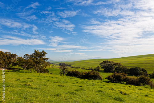 A beautiful landscape showing grassland and a scenic dirt road near Caledon