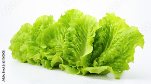 Lettuce isolated on a white background.