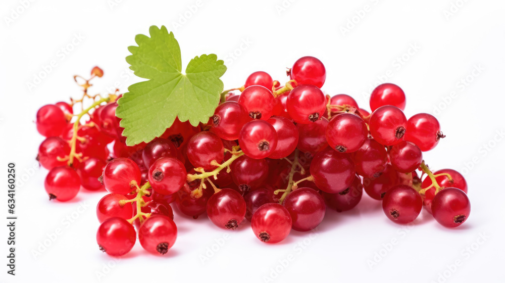 Red currant isolated on a white background.