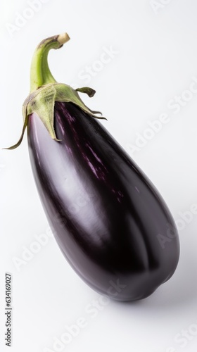 Purple Passion: Embarking on a Culinary Journey with Eggplant