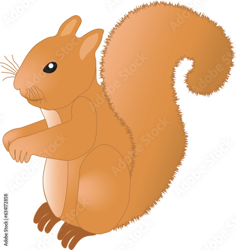Illustration of one red squirrel on a white background. Forest animal squirrel